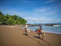 Copa De Arbol Beach & Rainforest Resort Hotels in Osa