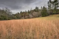 Forest Fantasy: Pet-Friendly Smoky Mtn Escape! - spa