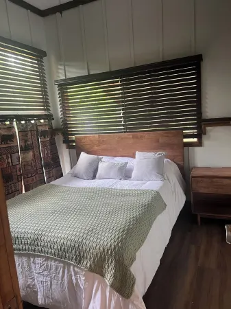 Cozy cabin in beautiful White Springs with WiFi,