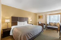 Quality Inn & Suites Hotels in Brampton
