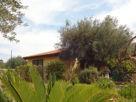 Casetta degli Ulivi - Small house with garden 5 minutes from the beach