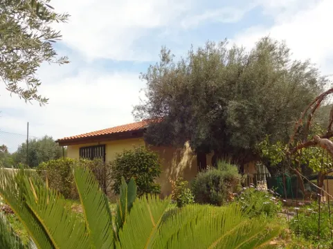 Casetta degli Ulivi - Small house with garden 5 minutes from the beach