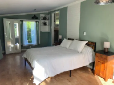 Charming 1-bedroom house surrounded by trees just outside tranquil Waldport