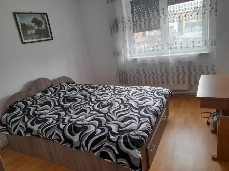 Spacious 4 rooms downtown apartment in Pitesti Отели в г. Питешти
