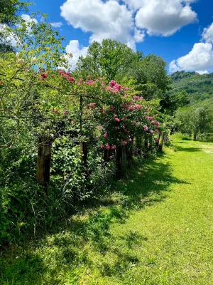 BEAUTIFUL DIMORA CIVITA OF BAGNOREGIO -3 bedrooms 2 bathrooms-family-garden-whole house - Wi-Fi