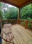 NEW mountain cottage between Dupont and Pisgah!!