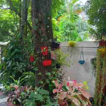 Gerards Home stay Fortkochi Deluxe Double Room Hotel Exterior