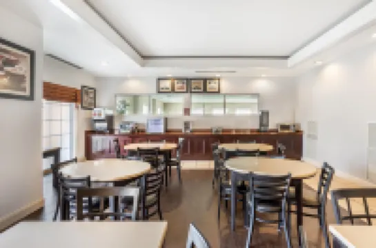 Best Western Bar Harbour Inn Hotels in Oyster Bay