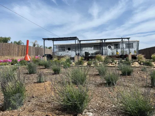 Unique Boutique Airstream Spartan in a Lavender Oasis