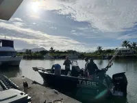 The Hinchinbrook Retreat Hotels in Cardwell