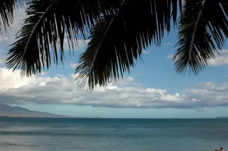 Romantic Beachfront Getaway Отели в г. Маалаеа