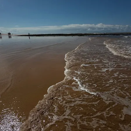 Tatu Do Bem Hospedagem