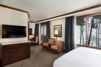 Aspen Ritz Carlton 2 Bedroom Residence Club Condo - spa