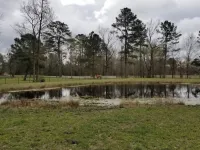"General Store" at Oak Arbor Hotels in Houston County