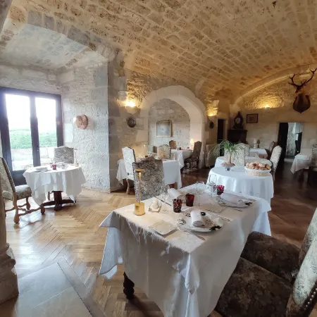 Château Hôtel la Terrasse - Teritoria