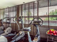 格但斯克斯泰爾瑪斯託美居酒店 - 健身室/gym room