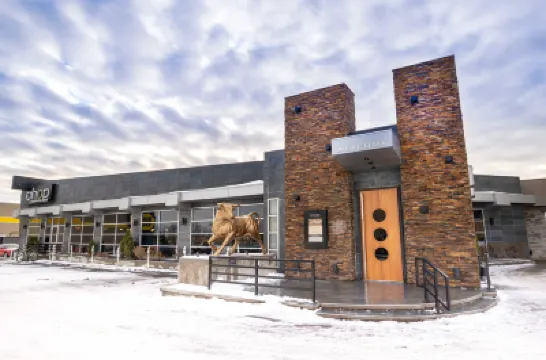 Sandman Hotel Edmonton West Hotel a 