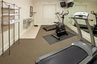 Holiday Inn Express & Suites WAXAHACHIE by IHG - Gym