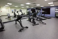 Holiday Inn Express & Suites FORT DODGE by IHG - Gym