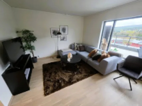 Nice apartment in the center of Trysil 403 トリシルのホテル