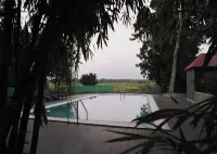 Irroi Kaziranga - Pools