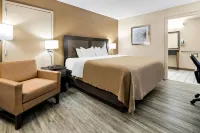 퀄리티 인 디케이터 리버 시티