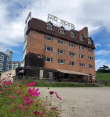 Green and Blue Hotel