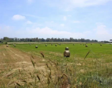 Apartment in Ladispoli Near Tyrrhenian Sea