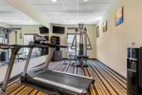 Comfort Inn & Suites - Gym