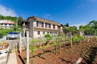 Apartments Ilinka - Ocean View