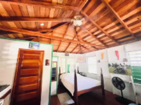 Treetop Beachfront Cabana Hotels in 
