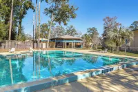 Pool Access! UF + Game Day Base in Gainesville - Condos