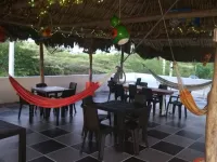 Manzanillo Beach Hotels near Manzanillo