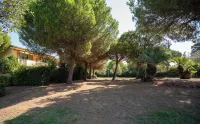 Club del Sole Le Gorette Cecina - Pools