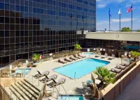 Hilton Los Angeles Airport - piscina