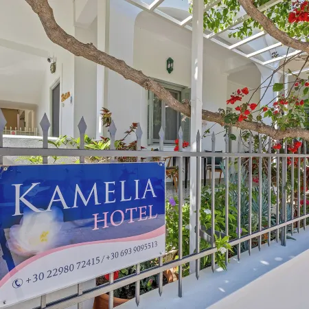 Kamelia Hotel Отели в г. Спеце