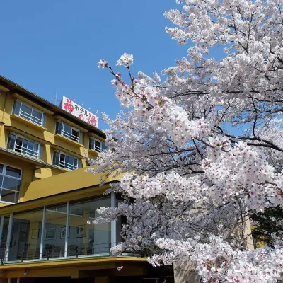 神の湯温泉 アピタ双葉店周辺のホテル