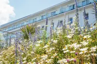 Fistral Beach Hotel and Spa - Adults Only - bar