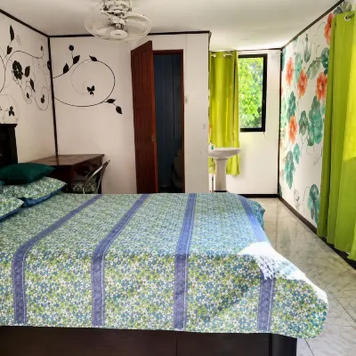 downtown montezuma hostal - Wifi