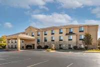 Comfort Inn & Suites Russellville I-40 - Pools