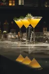 Hotel Nikko Kaohsiung - 5-Star
