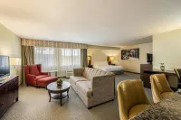 Hotel Dax - بار