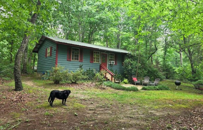 In Town, Yet Wooded - Cozy 2Br Cabin in Mentone