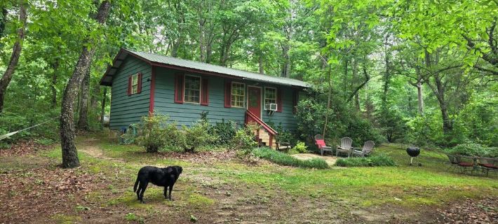 In Town, Yet Wooded - Cozy 2Br Cabin in Mentone Hotels in DeKalb County