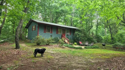 In Town, Yet Wooded - Cozy 2Br Cabin in Mentone - Chalets