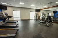 Holiday Inn Express & Suites DES MOINES - ANKENY by IHG - Gym
