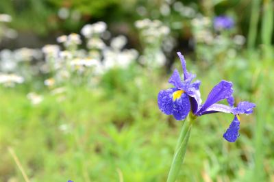 その他 由布院温泉 和風旅館 津江の庄の写真