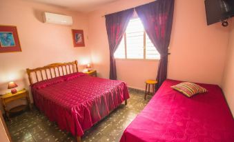 Armando's Hostel House, Room 5, Very Close to El Malecon
