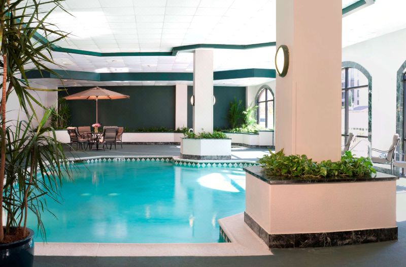 Embassy Suites by Hilton Houston Near the Galleria photo 3