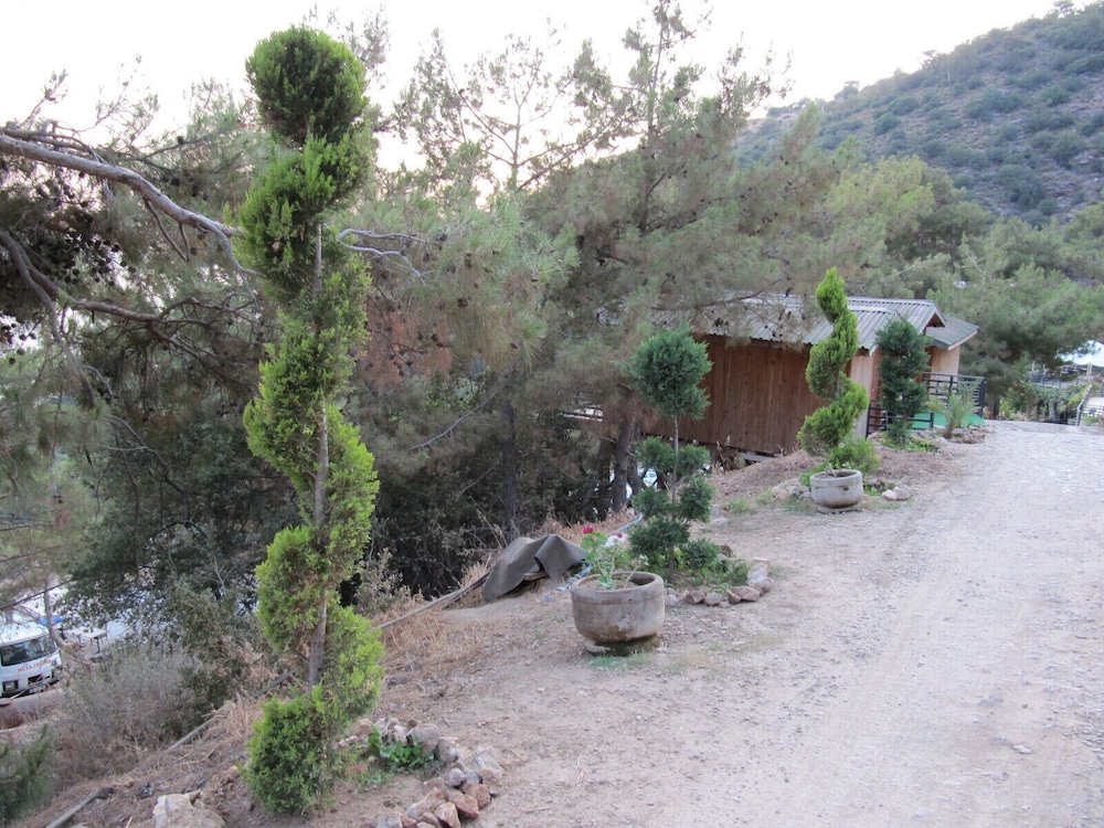 Tree Houses